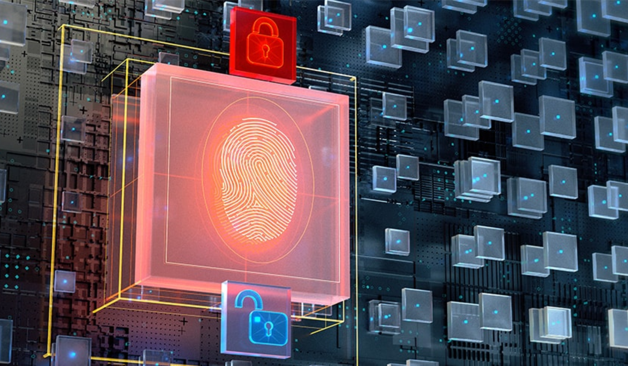 [Crypto Safety Tips] Essential Steps for New Investors