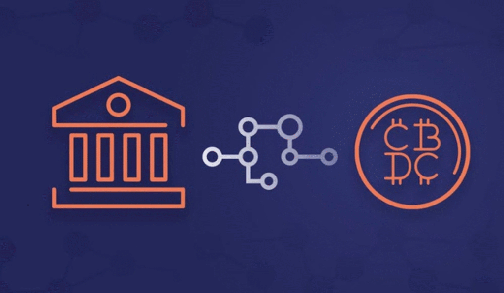 What is CBDC [Central Bank Digital Currency Explained]